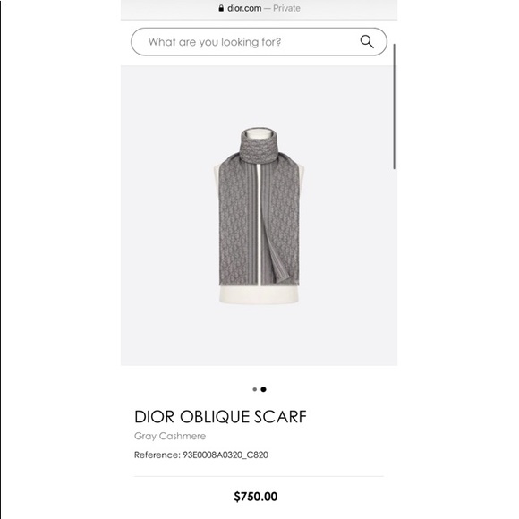 Dior Oblique Scarf - Picture 3 of 3